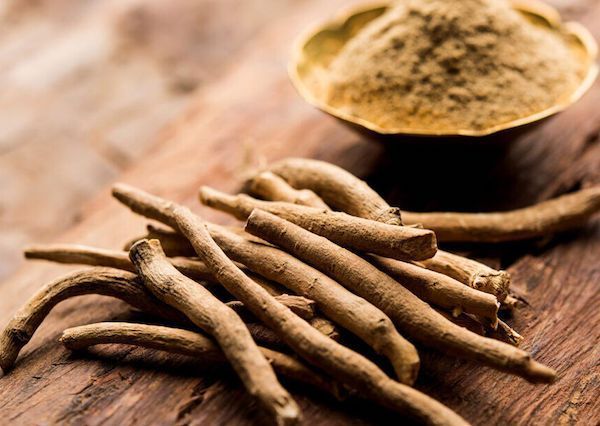 Descubre qué es la Ashwagandha y sus propiedades beneficiosas frente al imsonio, la ansiedad, el Alzheimer y otros trastornos cognitivos.