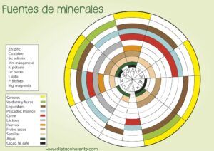La importancia de una dieta rica en vitaminas durante el embarazo. Rueda minerales