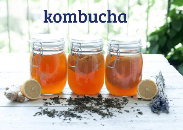 portada Kombucha