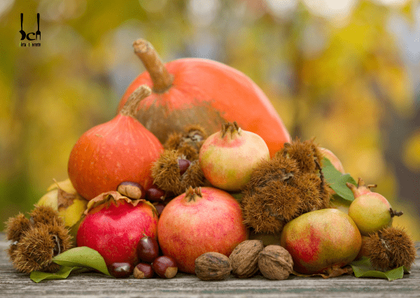 Portada Alimentos de otoño